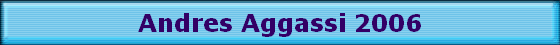 Andres Aggassi 2006