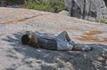 Ysmt-FallTrl-060805-044